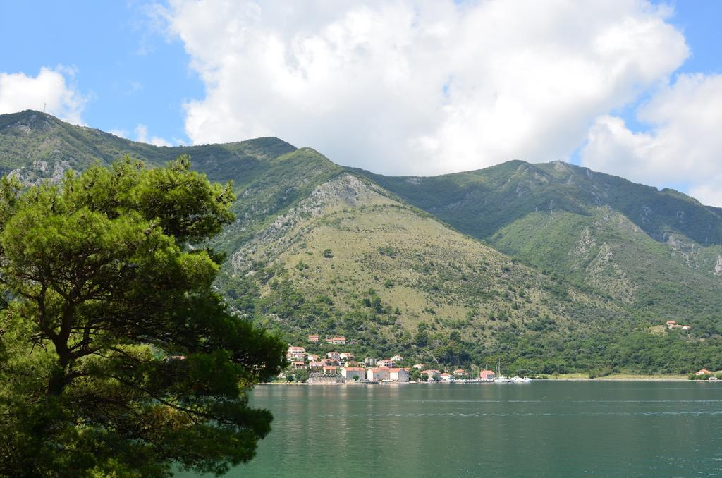 Apartment Ivanisevic 2 Kotor Buitenkant foto